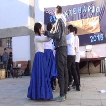 Bicentenario 8